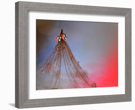 Dress Me In Some Red-Heidi Westum-Framed Photographic Print