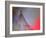 Dress Me In Some Red-Heidi Westum-Framed Photographic Print