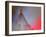 Dress Me In Some Red-Heidi Westum-Framed Photographic Print