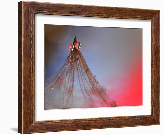 Dress Me In Some Red-Heidi Westum-Framed Photographic Print