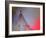 Dress Me In Some Red-Heidi Westum-Framed Photographic Print