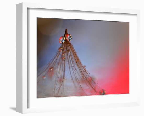 Dress Me In Some Red-Heidi Westum-Framed Photographic Print