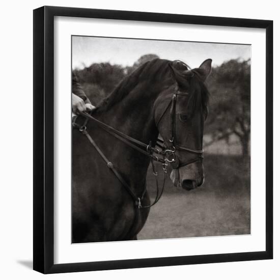 Dressage - The Collection-Pete Kelly-Framed Giclee Print