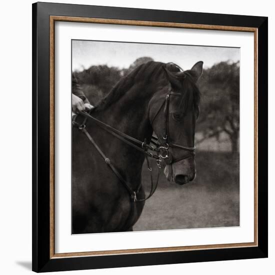 Dressage - The Collection-Pete Kelly-Framed Giclee Print