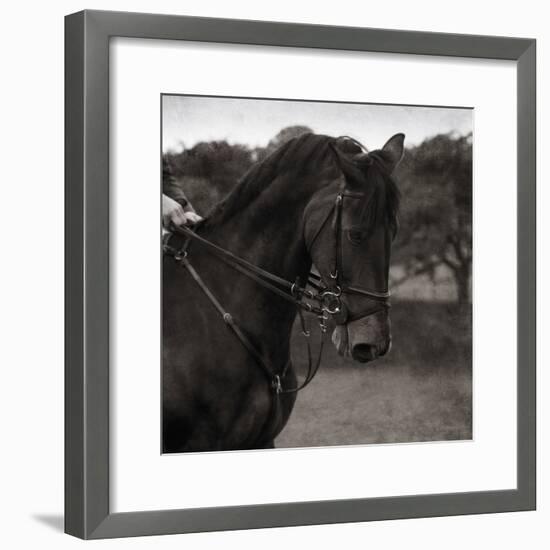 Dressage - The Collection-Pete Kelly-Framed Giclee Print
