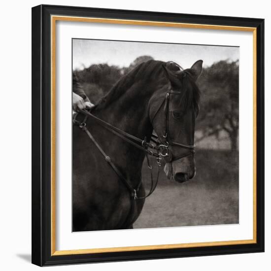 Dressage - The Collection-Pete Kelly-Framed Giclee Print