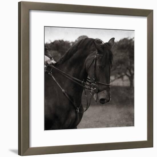 Dressage - The Collection-Pete Kelly-Framed Giclee Print