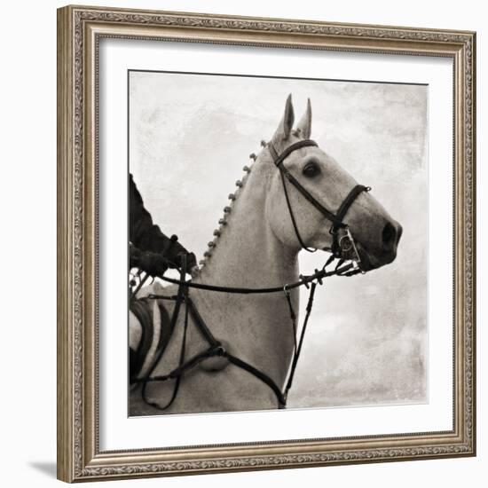 Dressage - The Counter-Pete Kelly-Framed Giclee Print