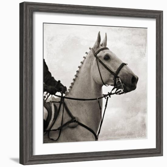 Dressage - The Counter-Pete Kelly-Framed Giclee Print