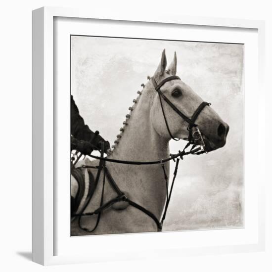 Dressage - The Counter-Pete Kelly-Framed Giclee Print