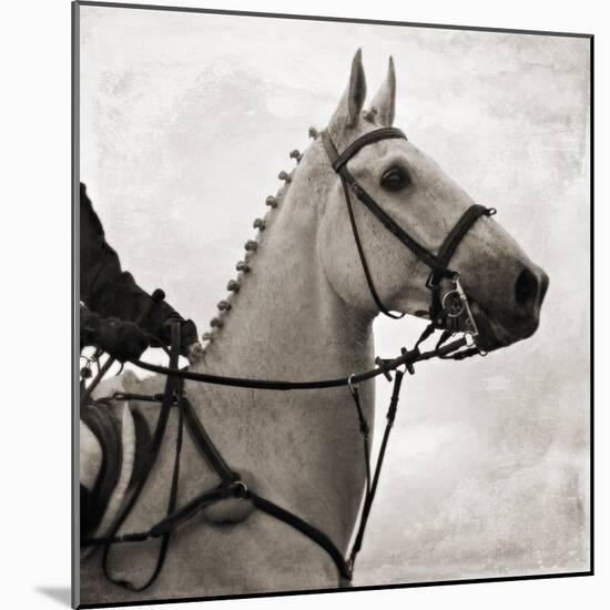 Dressage - The Counter-Pete Kelly-Mounted Giclee Print