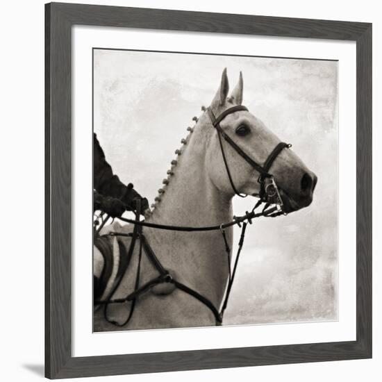 Dressage - The Counter-Pete Kelly-Framed Giclee Print