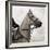 Dressage - The Counter-Pete Kelly-Framed Giclee Print