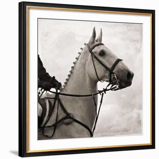 Dressage - The Counter-Pete Kelly-Framed Giclee Print