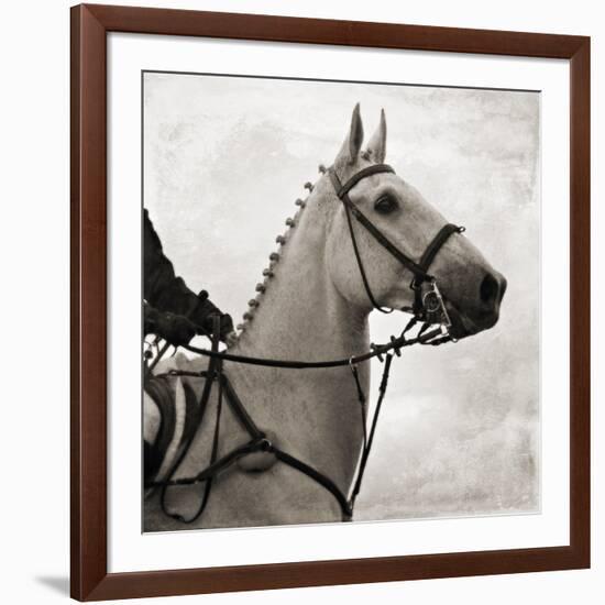 Dressage - The Counter-Pete Kelly-Framed Giclee Print