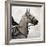 Dressage - The Counter-Pete Kelly-Framed Giclee Print