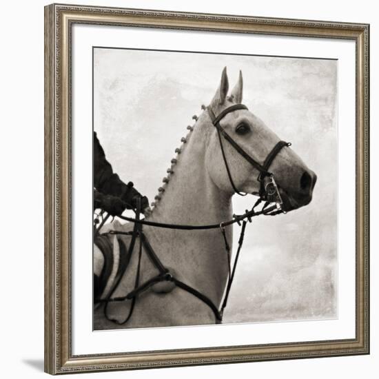 Dressage - The Counter-Pete Kelly-Framed Giclee Print