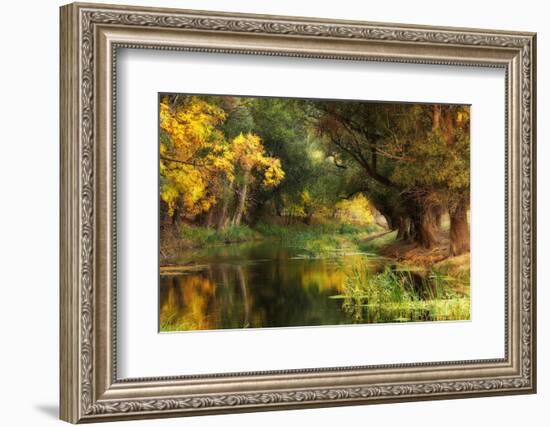 Dressed in Autumn-Jimbi-Framed Photographic Print