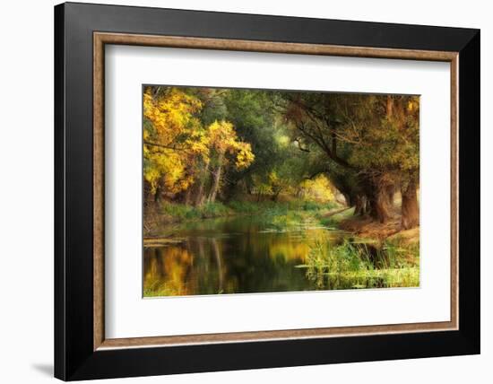 Dressed in Autumn-Jimbi-Framed Photographic Print