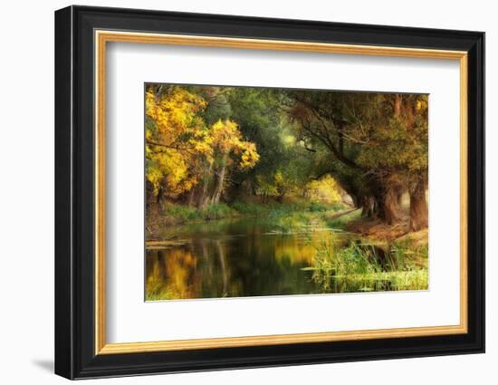 Dressed in Autumn-Jimbi-Framed Photographic Print