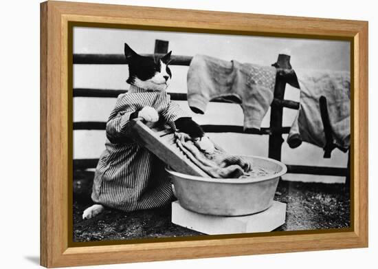 Dressed Up Cat Washing Clothes in Wash Tub-null-Framed Premier Image Canvas