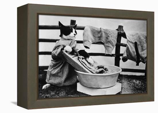 Dressed Up Cat Washing Clothes in Wash Tub-null-Framed Premier Image Canvas