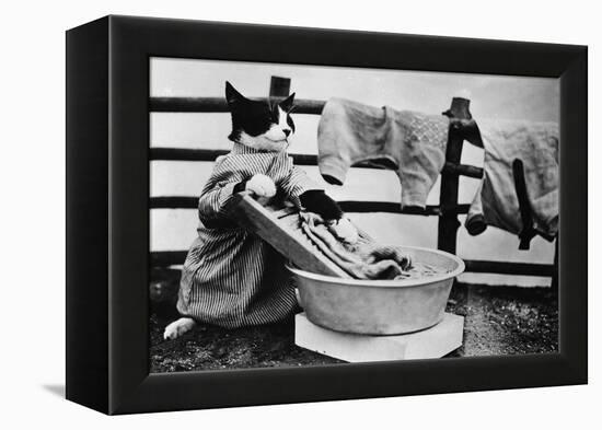 Dressed Up Cat Washing Clothes in Wash Tub-null-Framed Premier Image Canvas