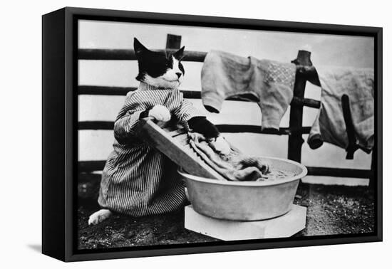 Dressed Up Cat Washing Clothes in Wash Tub-null-Framed Premier Image Canvas