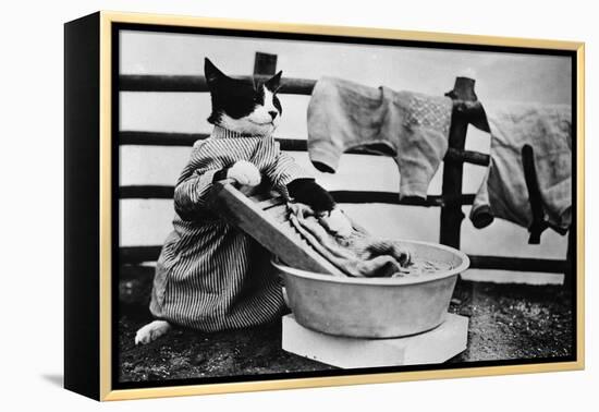 Dressed Up Cat Washing Clothes in Wash Tub-null-Framed Premier Image Canvas