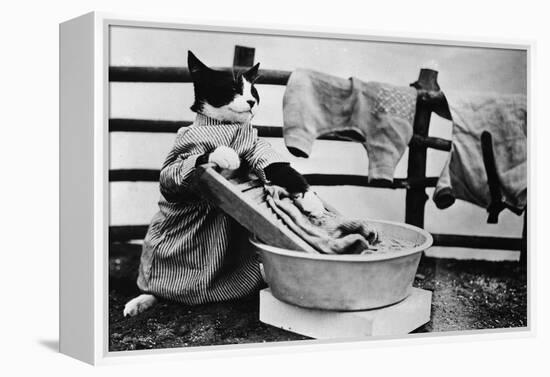 Dressed Up Cat Washing Clothes in Wash Tub-null-Framed Premier Image Canvas