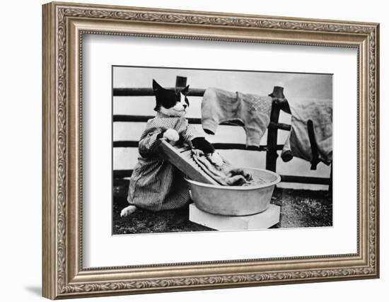 Dressed Up Cat Washing Clothes in Wash Tub-null-Framed Photographic Print