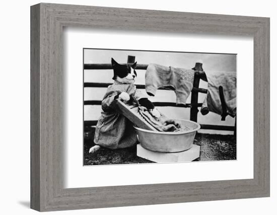 Dressed Up Cat Washing Clothes in Wash Tub-null-Framed Photographic Print