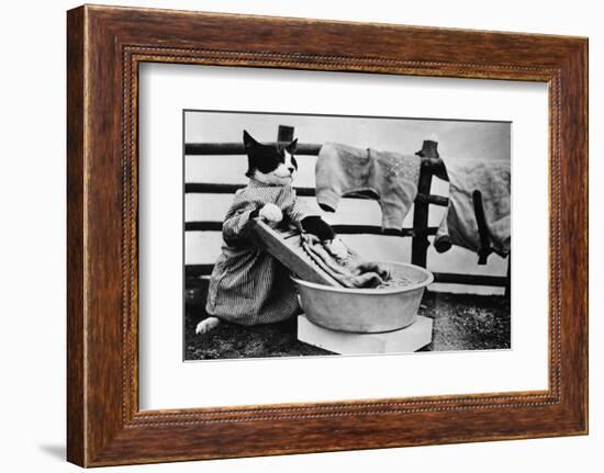 Dressed Up Cat Washing Clothes in Wash Tub-null-Framed Photographic Print