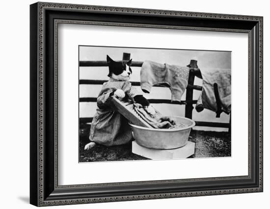 Dressed Up Cat Washing Clothes in Wash Tub-null-Framed Photographic Print