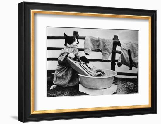 Dressed Up Cat Washing Clothes in Wash Tub-null-Framed Photographic Print