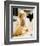 Drew Barrymore - Scream-null-Framed Photo