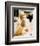 Drew Barrymore - Scream-null-Framed Photo