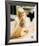 Drew Barrymore - Scream-null-Framed Photo