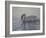 Dribbling Swan-Bruce Dumas-Framed Giclee Print