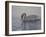 Dribbling Swan-Bruce Dumas-Framed Giclee Print