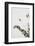 Dried_002-1x Studio III-Framed Photographic Print