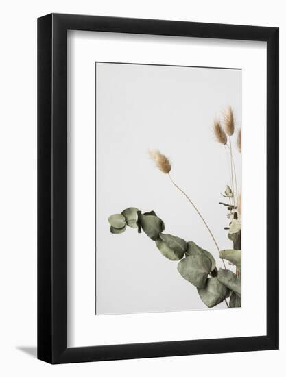 Dried_002-1x Studio III-Framed Photographic Print