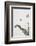 Dried_002-1x Studio III-Framed Photographic Print