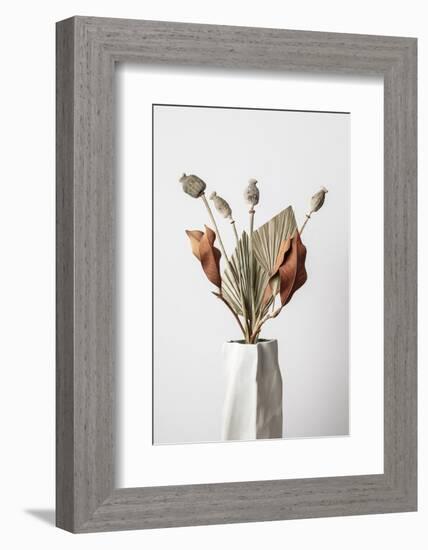 Dried_003-1x Studio III-Framed Photographic Print