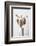 Dried_003-1x Studio III-Framed Photographic Print