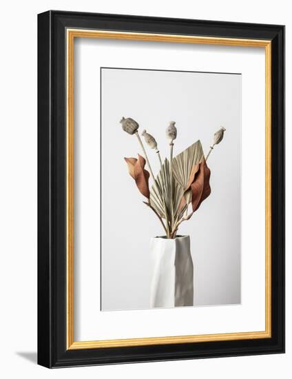 Dried_003-1x Studio III-Framed Photographic Print