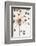 Dried_007-1x Studio III-Framed Photographic Print