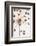 Dried_007-1x Studio III-Framed Photographic Print