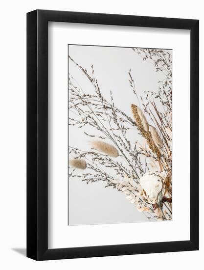 Dried_008-1x Studio III-Framed Photographic Print