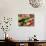 Dried Beans, Food Market, Oaxaca City, Oaxaca, Mexico, North America-Wendy Connett-Photographic Print displayed on a wall